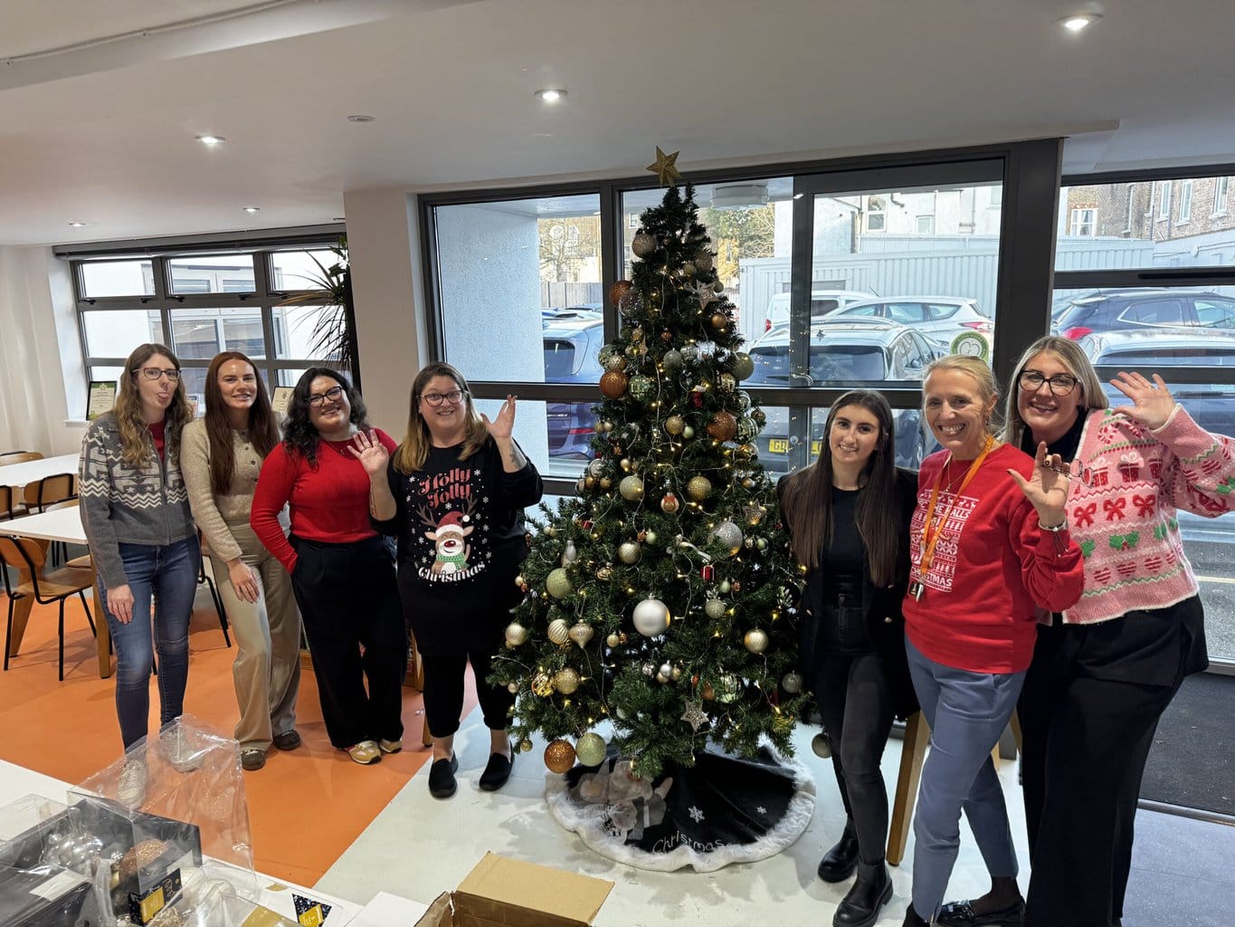 Regular Cleaning Christmas